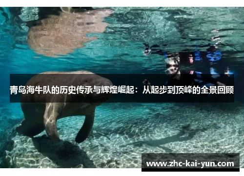 青岛海牛队的历史传承与辉煌崛起:从起步到顶峰的全景回顾 青岛海牛队的历史传承与辉煌崛起:从起步到顶峰的全景回顾